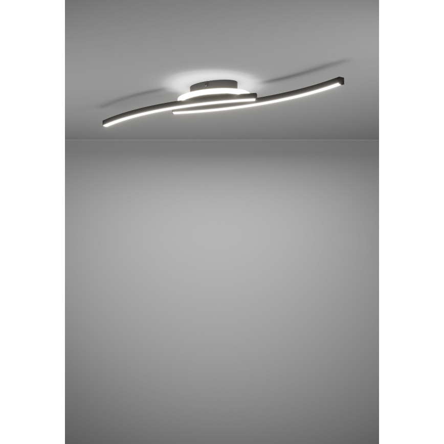 Eglo - LED taklampa LED/12W/230V 4000K svart