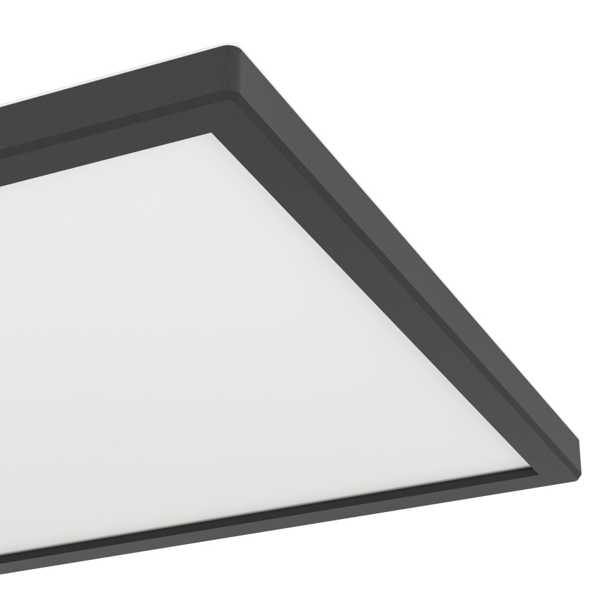 Eglo - LED RGBW Ljusreglerad vägglampa för badrum LED/13,4W/230V 2700-6500K 29x29 cm IP44 svart