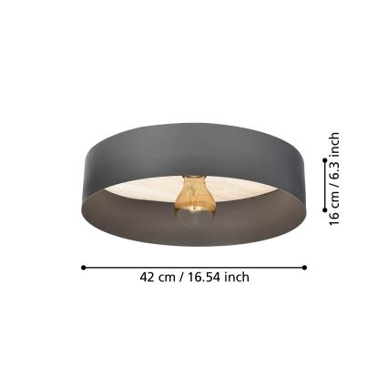 Eglo - Taklampa 1xE27/40W/230V grå