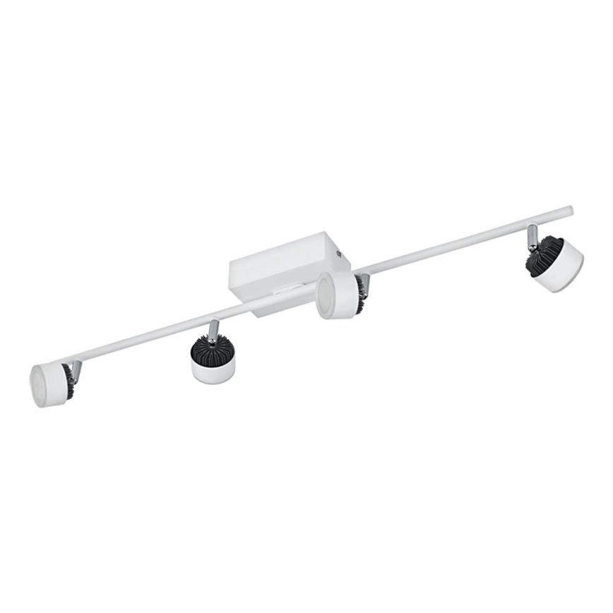 Eglo 93855 - LED spotlight ARMENTO 4xLED/6W/230V