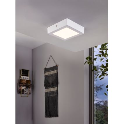 Eglo 94073 - LED Takbelysning FUEVA 1 LED/10.95W/230V