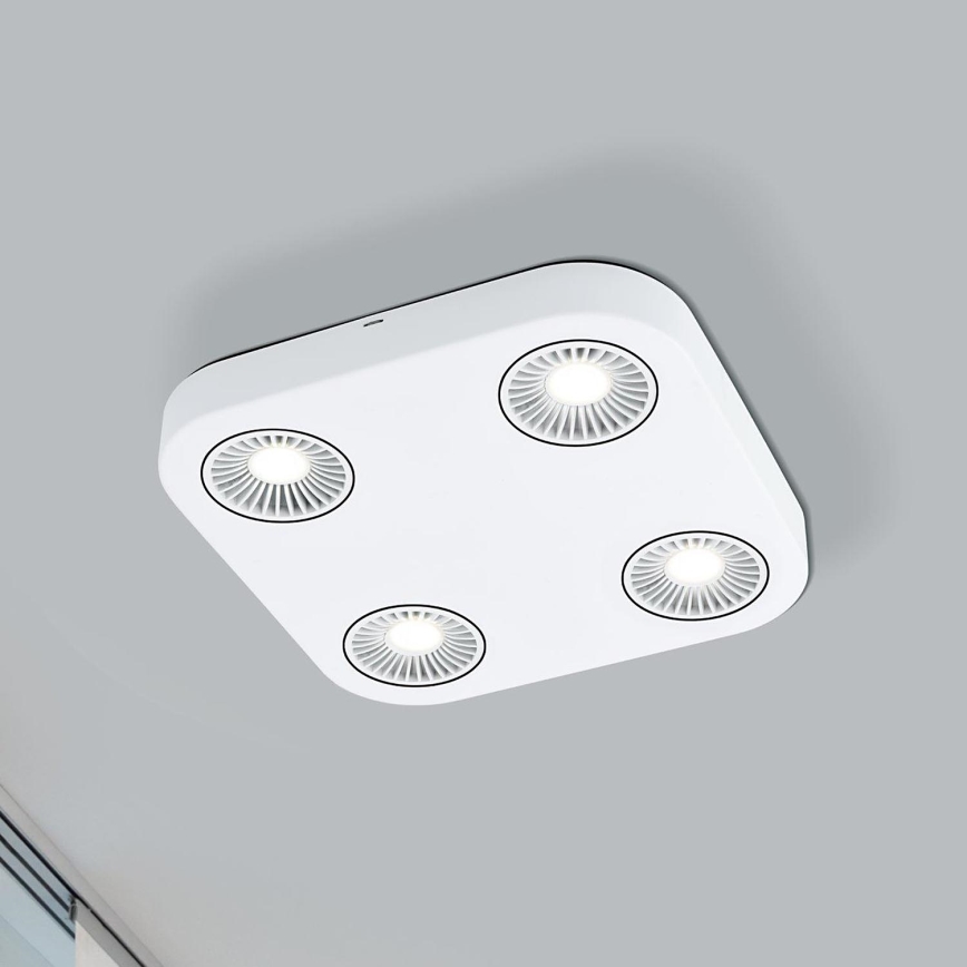 Eglo 94178 - LED spotlight MONTALE 4xLED/5.4W/230V