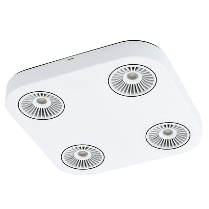 Eglo 94178 - LED spotlight MONTALE 4xLED/5.4W/230V