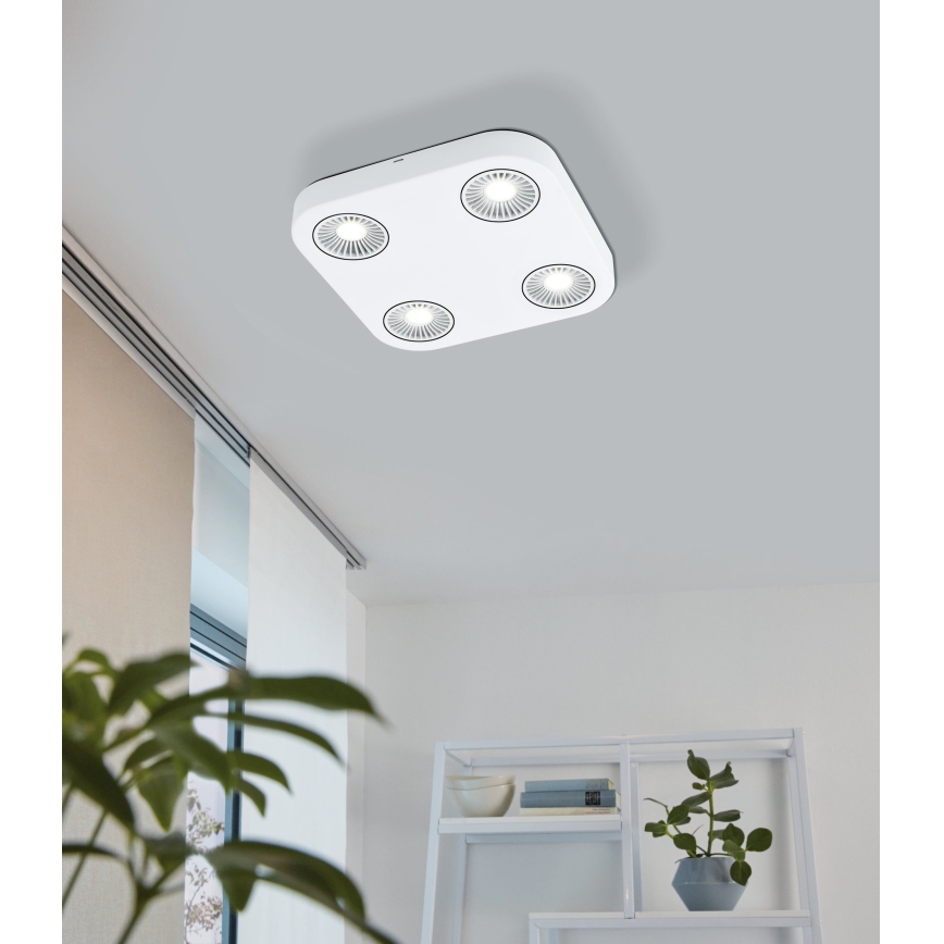 Eglo 94178 - LED spotlight MONTALE 4xLED/5.4W/230V