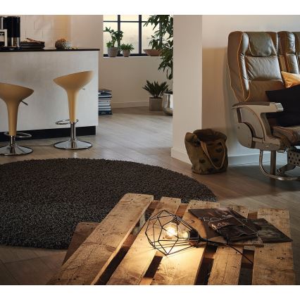 Eglo - Bordslampa med stickkontakt 1xE27/60W/230V
