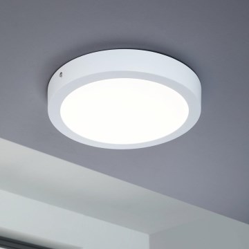 Eglo 94536 - LED Takbelysning FUEVA 1 LED/24W/230V