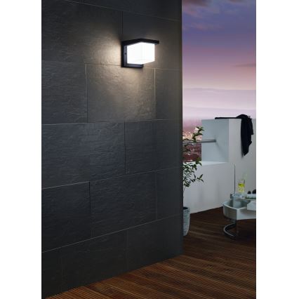 Eglo 95097 - Utomhus Väggbelysning DESELLA 1 LED/10W/230V