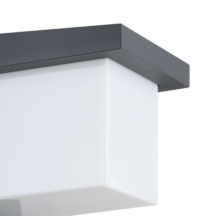 Eglo 95097 - Utomhus Väggbelysning DESELLA 1 LED/10W/230V