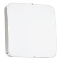 Eglo 95967 - LED Takbelysning CUPELLA LED/11W/230V