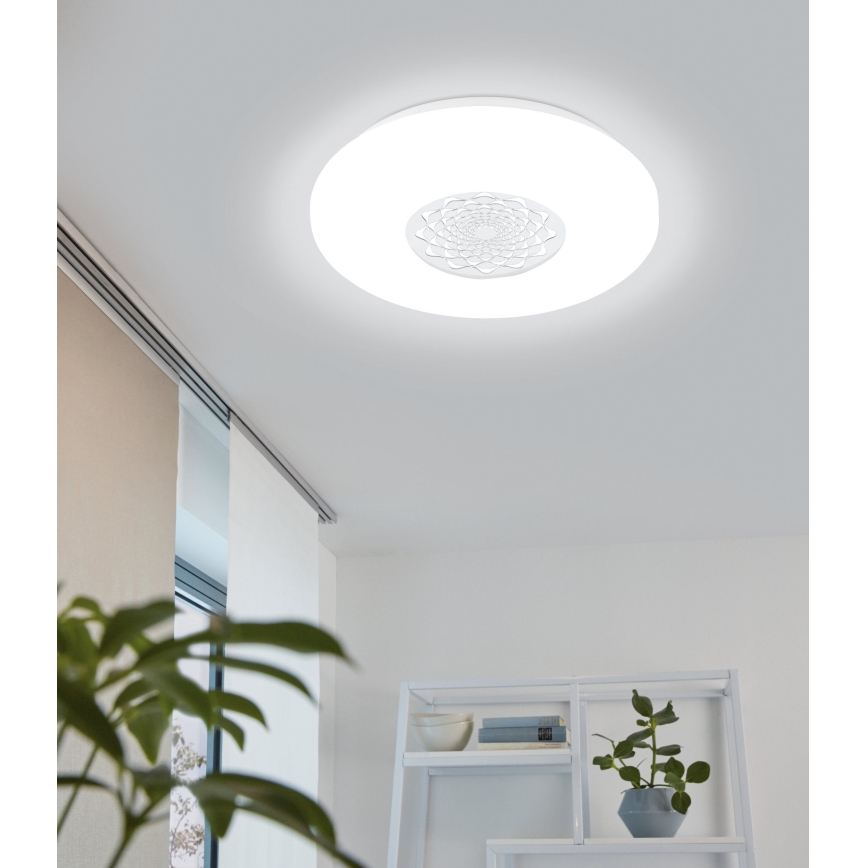 Eglo 96026 - LED Takbelysning CAPASSO 1 LED/24W/230V