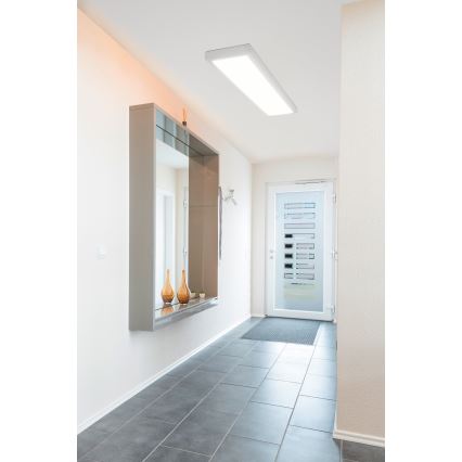 Eglo 96151 - LED takpanel SALOBRENA LED/40W/230V