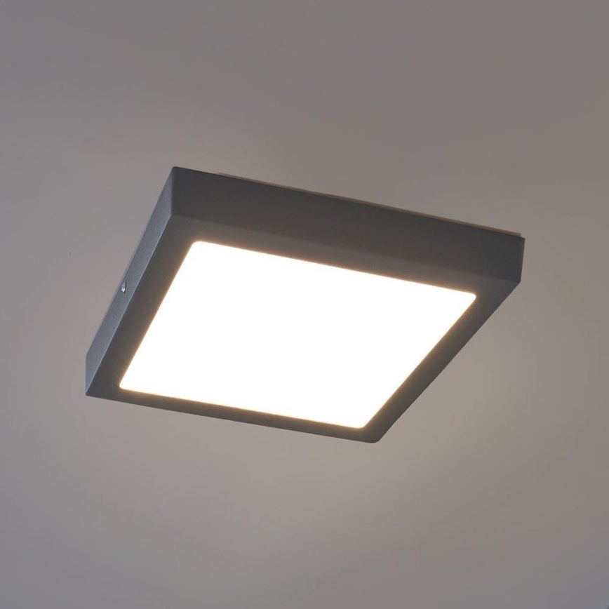 Eglo 96495 - LED utomhus Takbelysning ARGOLIS LED/22W