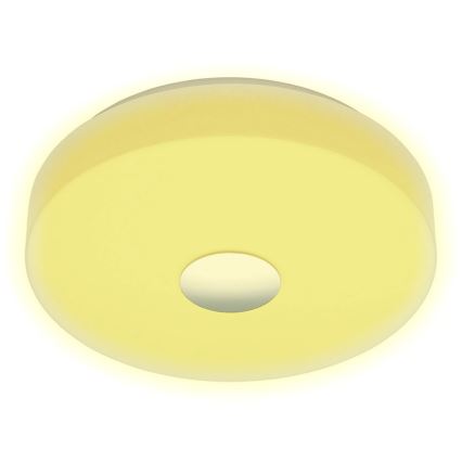 Eglo 96819 - LED RGB Dimbar Takbelysning BERAMO-C LED/17W/230V