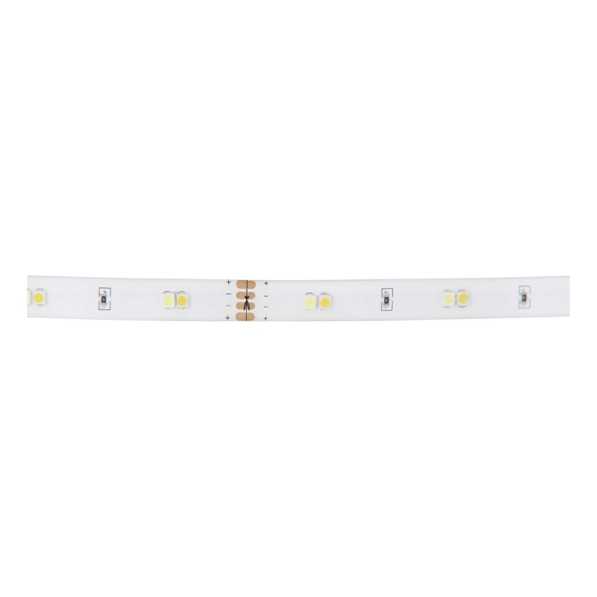 Eglo 97029 - SET 2x LED-slinga med en rörelsesensor PIDIO 2xLED/36x0.1W/230V