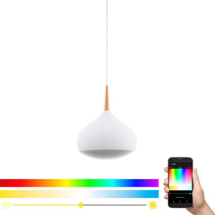 Eglo 97087 - LED RGBW Ljusreglerad Pendellampa COMBA-C 1xLED/18W/230V