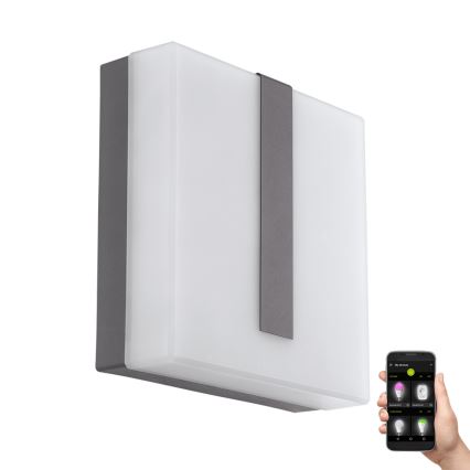 Eglo 97219 - LED Dimbar utomhus Väggbelysning TORAZZA-C LED/14W/230V