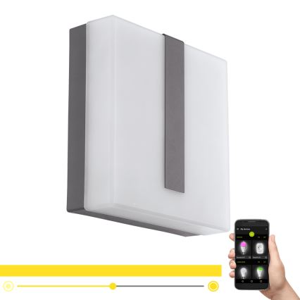 Eglo 97219 - LED Dimbar utomhus Väggbelysning TORAZZA-C LED/14W/230V