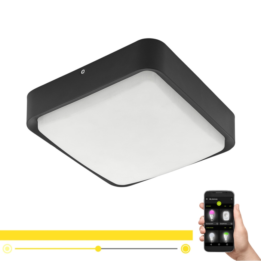 Eglo 97295 - LED Dimbar Badrumsbelysning tak PIOVE-C LED/14,6W/230V