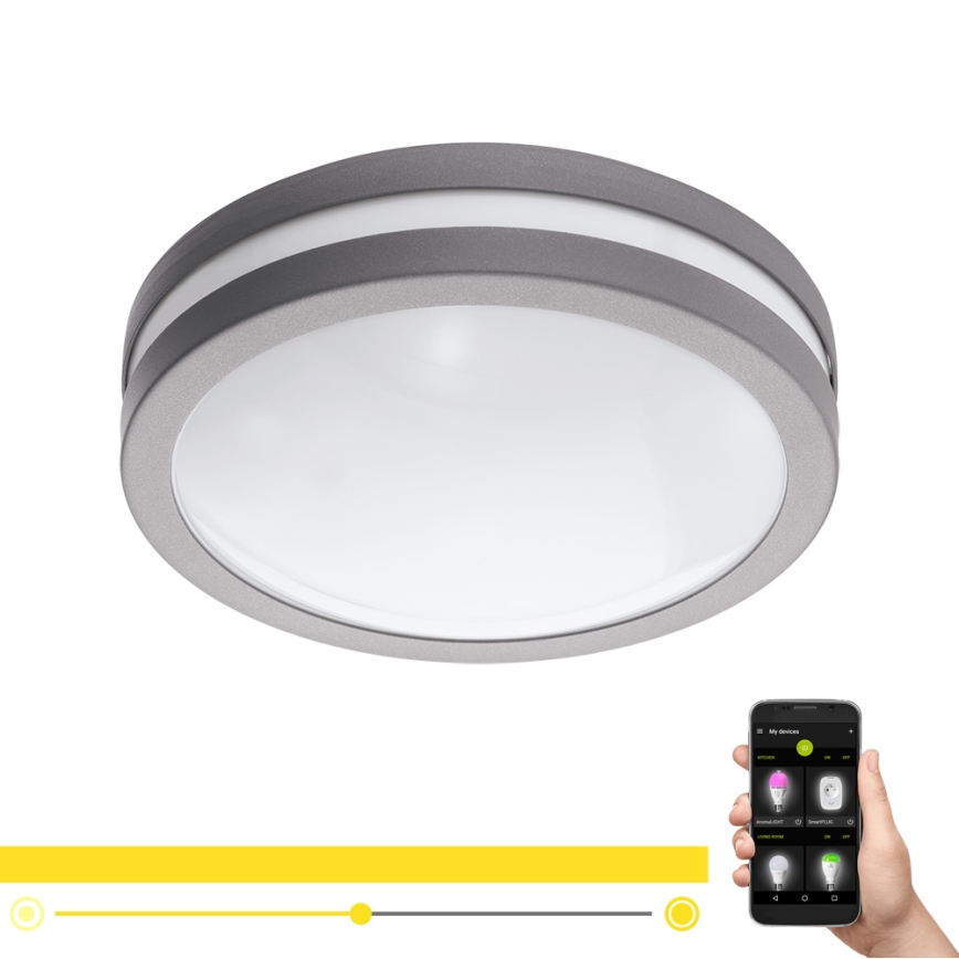 Eglo 97299 - LED Dimbar Badrumsbelysning tak LOCANA-C LED/14W grå