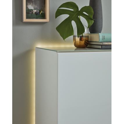 Eglo 97928 - RGB Dimbar LED-lampaslinga FLEX LED/20W/230V IP20