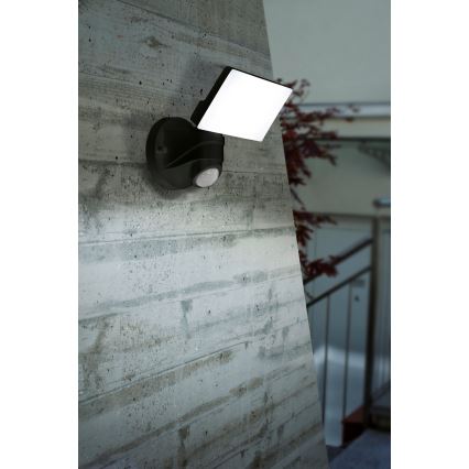 Eglo 98178 - LED Utomhusbelysning med sensor PAGINO LED/15W/230V IP44