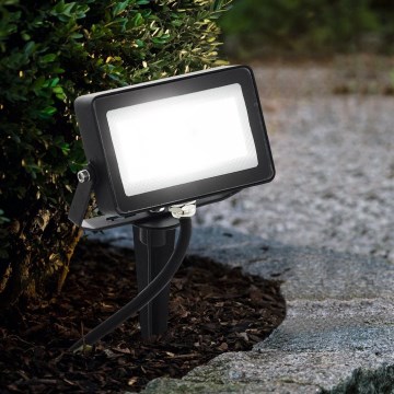 Eglo 98185 - LED RGB Spotlight FAEDO 4 LED/10W/230V + Fjärrkontroll 