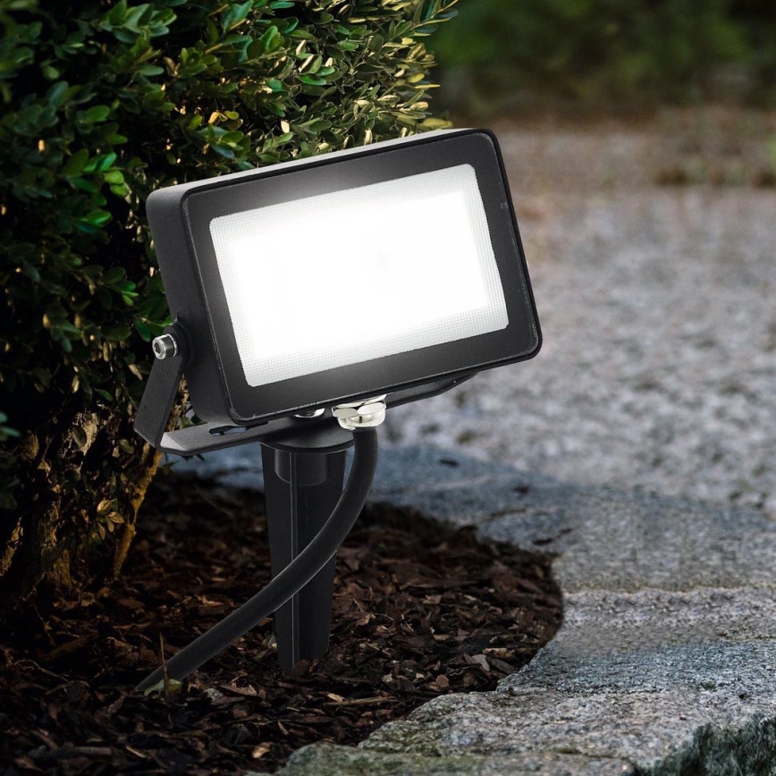 Eglo 98185 - LED RGB Spotlight FAEDO 4 LED/10W/230V + Fjärrkontroll 