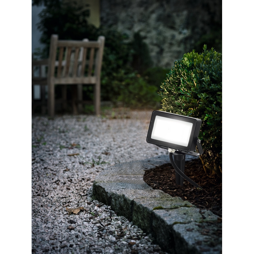 Eglo 98185 - LED RGB Spotlight FAEDO 4 LED/10W/230V + Fjärrkontroll 