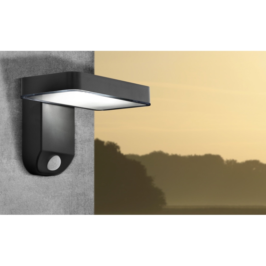 Eglo - LED solcell väggbelysning med sensor LED/4,5W/3,7V IP44