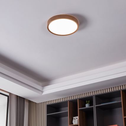 Eglo 98602 - LED Takbelysning MUSURITA LED/33,5W/230V