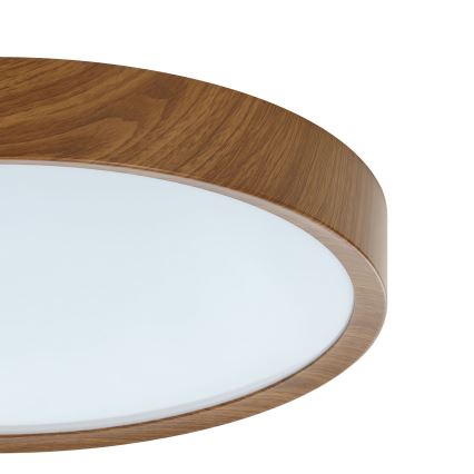 Eglo 98602 - LED Takbelysning MUSURITA LED/33,5W/230V