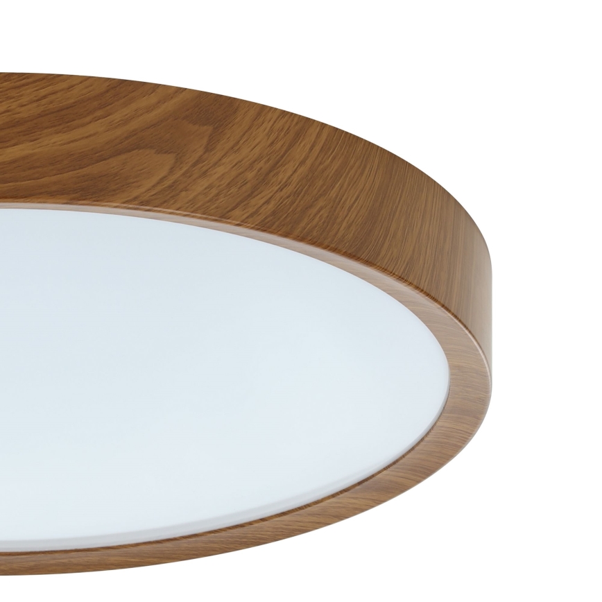 Eglo 98602 - LED Takbelysning MUSURITA LED/33,5W/230V