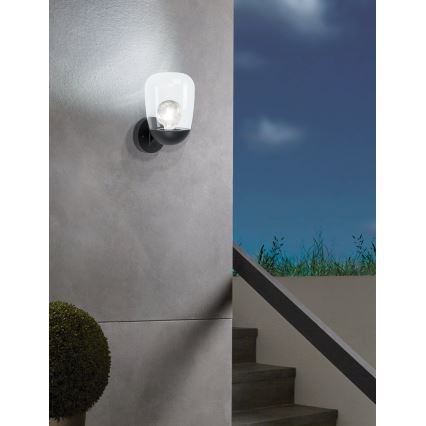 Eglo 98701 - Utomhus Väggbelysning DONATORI 1xE27/60W/230V IP44