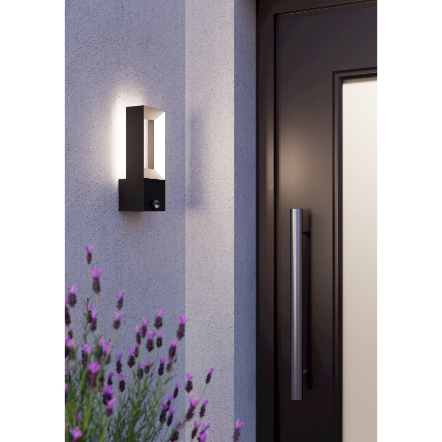 Eglo - LED Utomhusbelysning med en sensor 2xLED/5W/230V IP44
