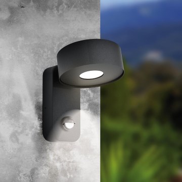 Eglo 98738 - LED Utomhus Väggbelysning med sensor PALOSCO LED/6W/230V IP44