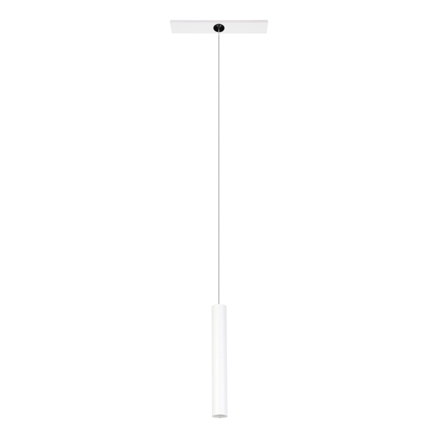 Eglo - LED Ljuskrona med upphängningsrem  på skensystem 1xLED/9W/230V