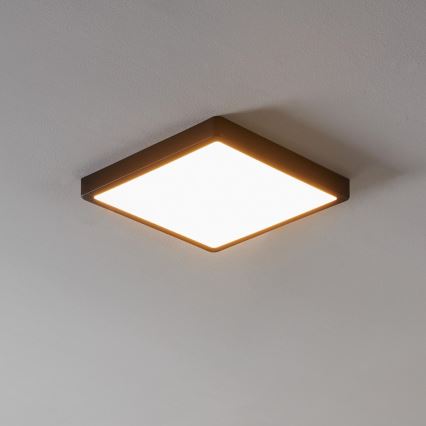 Eglo - LED ljusreglerad badrumslampa  LED/19,5W/230V IP44 ZigBee