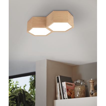 Eglo - Taklampa 2xE27/9W/230V