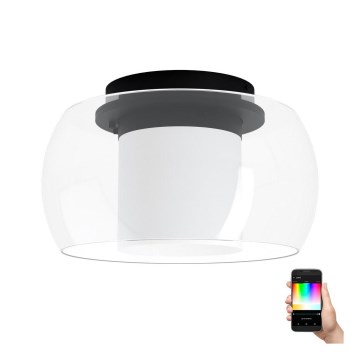 Eglo 99022 - LED RGB Dimbar Takbelysning BRIAGLIA-C LED/24,8W/230V