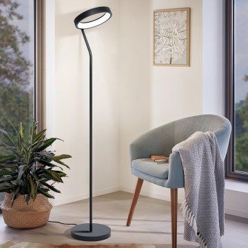 Eglo 99031 - LED RGB Dimbar Golvlampa MARGHERA-C LED/16W/230V