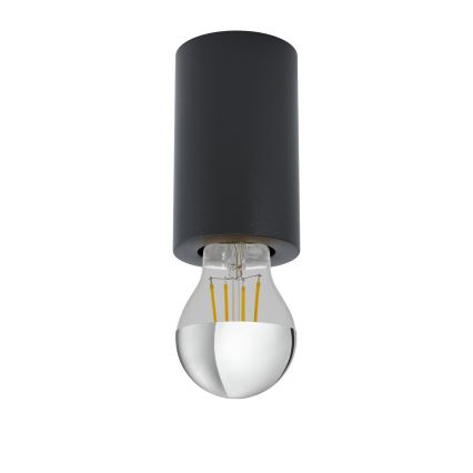 Eglo 99065 - Takbelysning SALUZZO 1xE27/40W/230V
