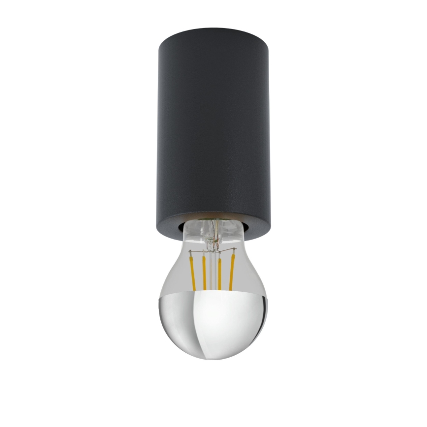 Eglo 99065 - Takbelysning SALUZZO 1xE27/40W/230V