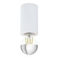 Eglo 99066 - Takbelysning SALUZZO 1xE27/40W/230V