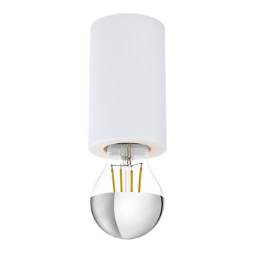 Eglo 99066 - Takbelysning SALUZZO 1xE27/40W/230V