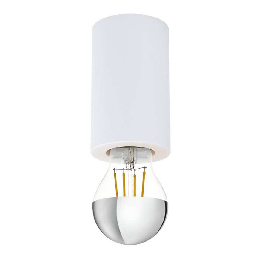 Eglo 99066 - Takbelysning SALUZZO 1xE27/40W/230V