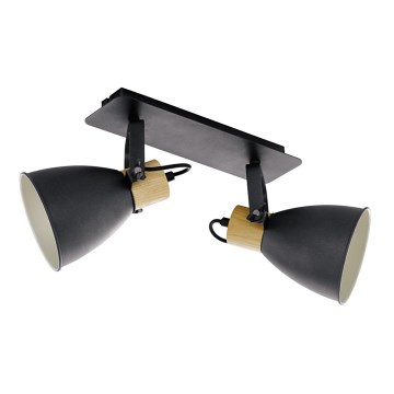 Eglo 99075 - Spotlight COSWARTH 2xE27/40W/230V