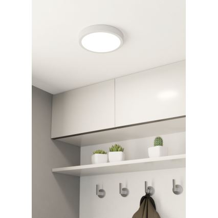 Eglo 99258 - LED Dimbar Takbelysning FUEVA 5 LED/16,5W/230V