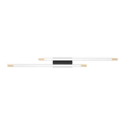Eglo 99292 - LED Dimbar Takbelysning CAMACHO 2xLED/10W/230V