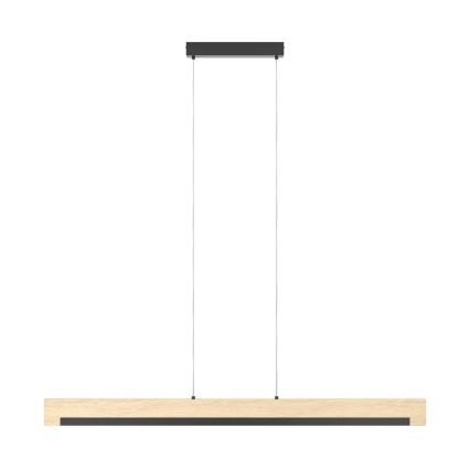 Eglo 99293 - Dimbar LED-lampakrona med snöre CAMACHO LED/25,5W/230V