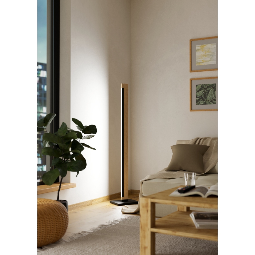 Eglo - LED Ljusreglerad beröring golvlampa CAMACHO LED/22W/230V